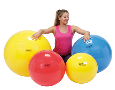 PhysioGymnic Inflatable Exercise Ball