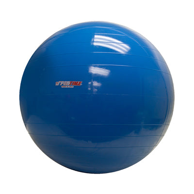 PhysioGymnic Inflatable Exercise Ball