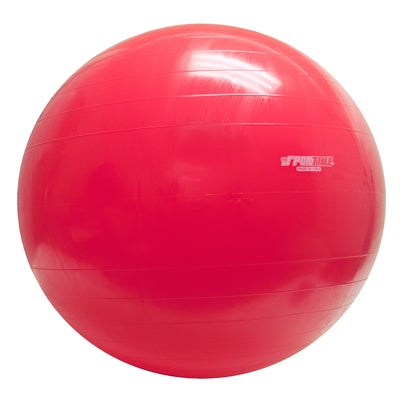 PhysioGymnic Inflatable Exercise Ball