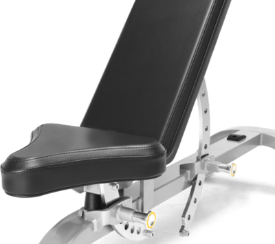 Freemotion Adjustable Bench