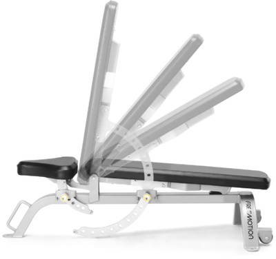 Freemotion Adjustable Bench