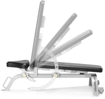 Freemotion Adjustable Bench