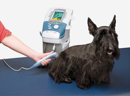 LASER THERAPY MODULE for INTELECT VET - US MED REHAB