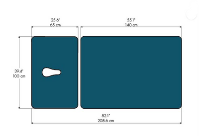 MedSurface Bo-Bath 40" Hi Lo Table