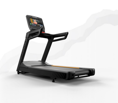 Matrix Endurance Treadmill