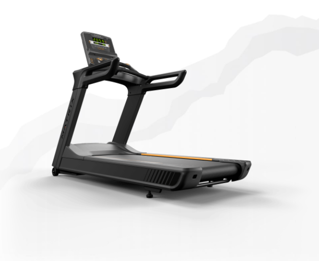 Matrix Performance Treadmill