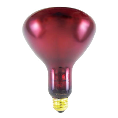 Ruby or Ceramic Bulb, Each - 110V