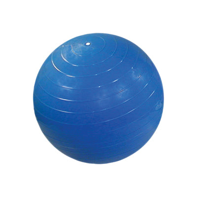 CanDo Ball Chair - Accessory - Replace Ball