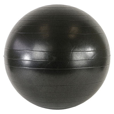 CanDo Ball Chair - Accessory - Replace Ball