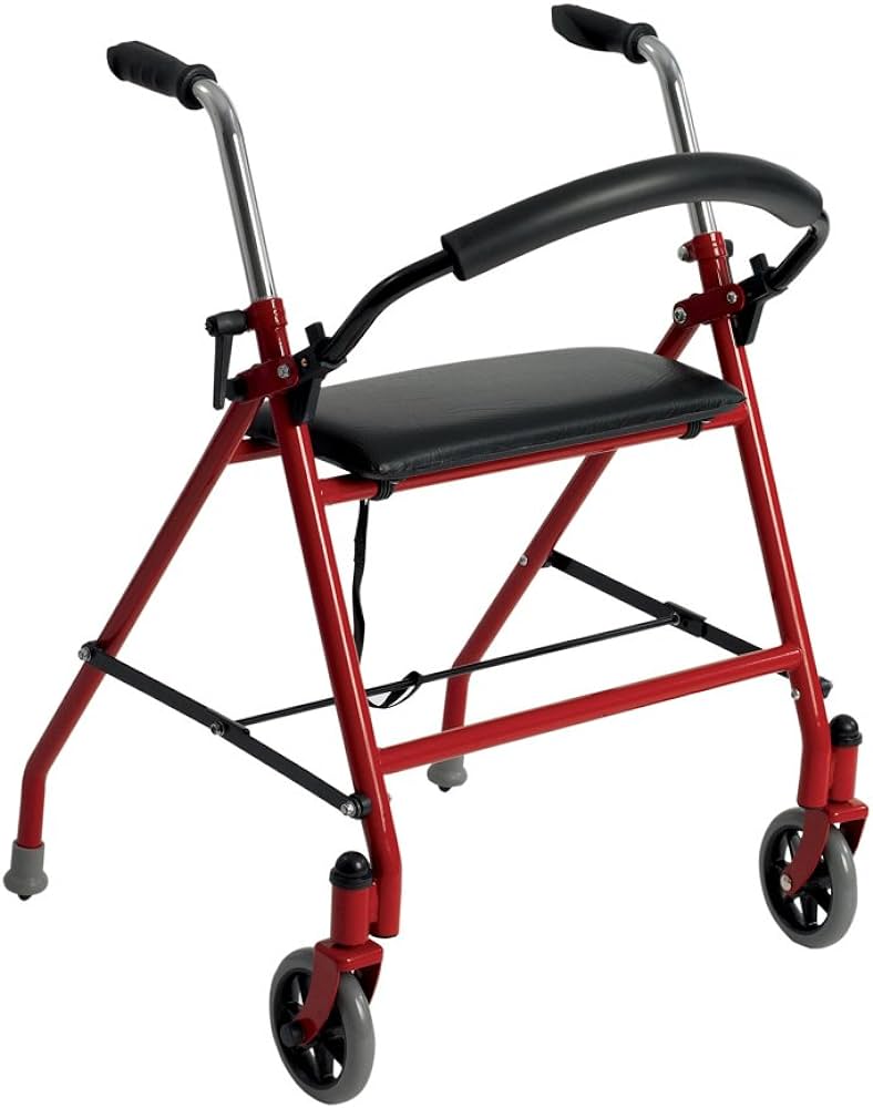 Drive Two Wheeled Walker with Seat